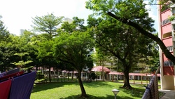 Blk 114 Bukit Batok West Avenue 6 (Bukit Batok), HDB 4 Rooms #212586561